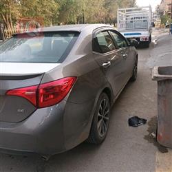 تويوتا كورولا